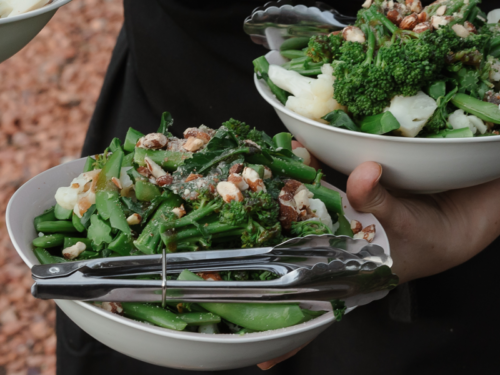 OS Landscape Web Gallery5